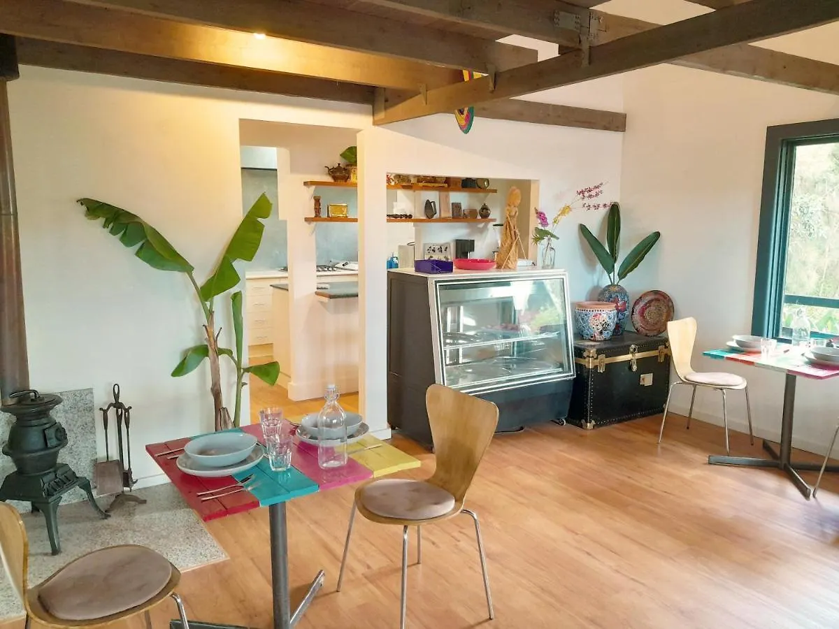 Bed & Breakfast Sky Island Studios Mount Tamborine Australia