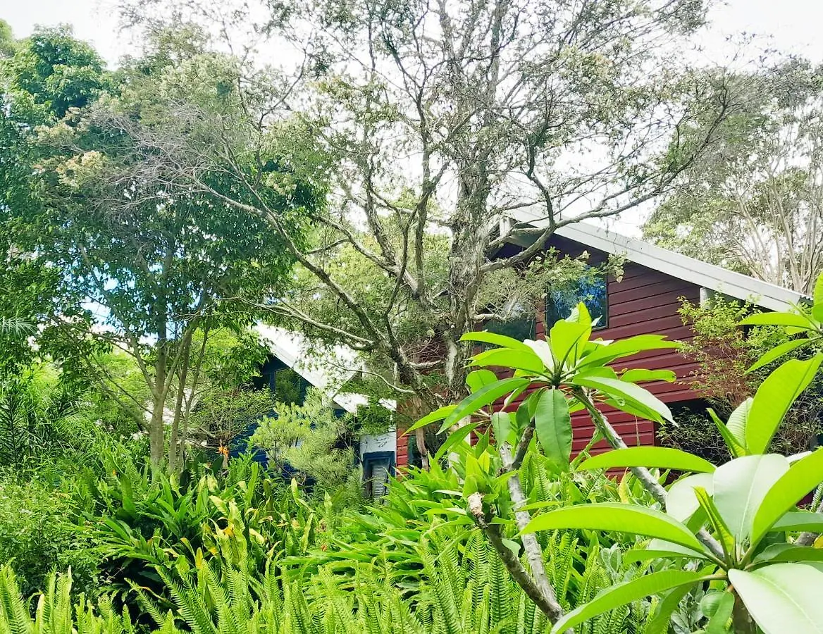 Sky Island Studios Mount Tamborine Bed & Breakfast