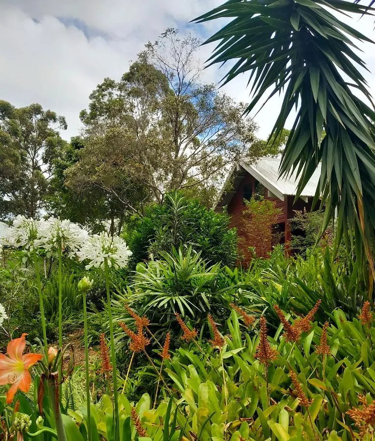 Sky Island Studios Mount Tamborine